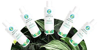 monstera fertilizer