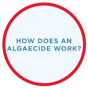 slime; white; mold; black; algaecide; algae; fungus; yellow; spots; products; water; portable