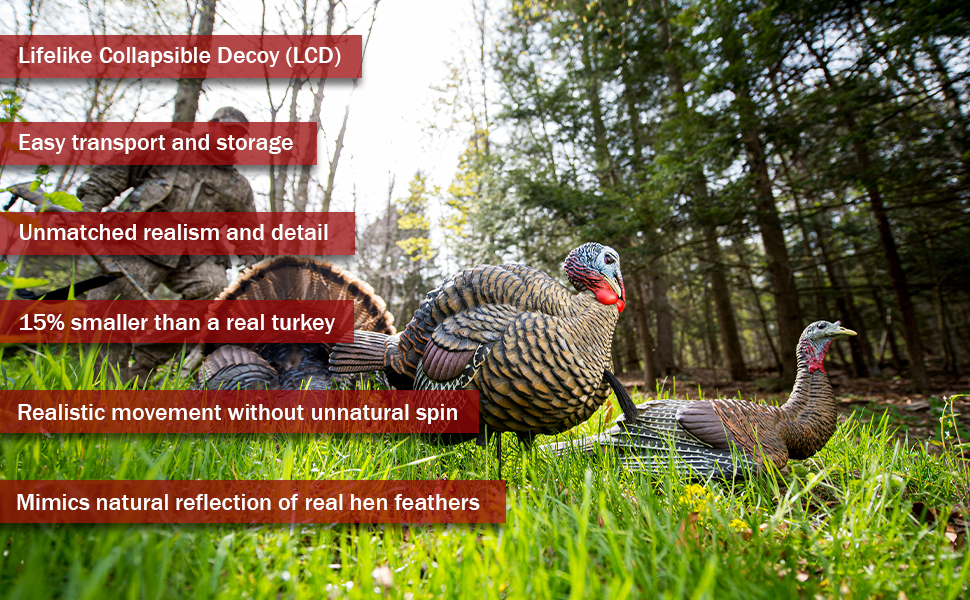 turkey decoys