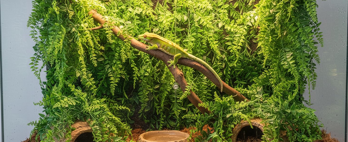 Reptile Plants