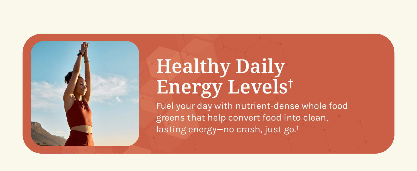 greens superfood digestive enzymes probiotic prebiotic