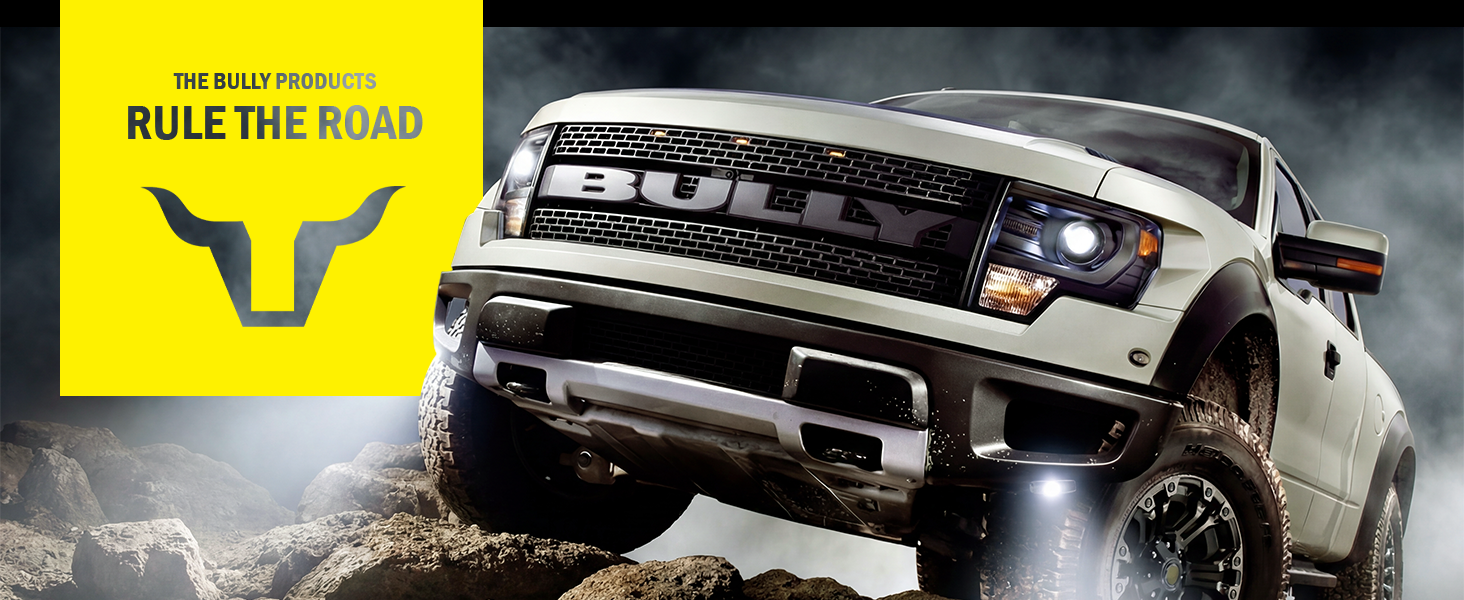 bully heavy duty 2-step class iii 3 hitch step cast aluminum non-slip 350 lbs weight capacity