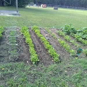 corded tiller, tiller, power tiller, rotoriller, cultivator, powerful tiller
