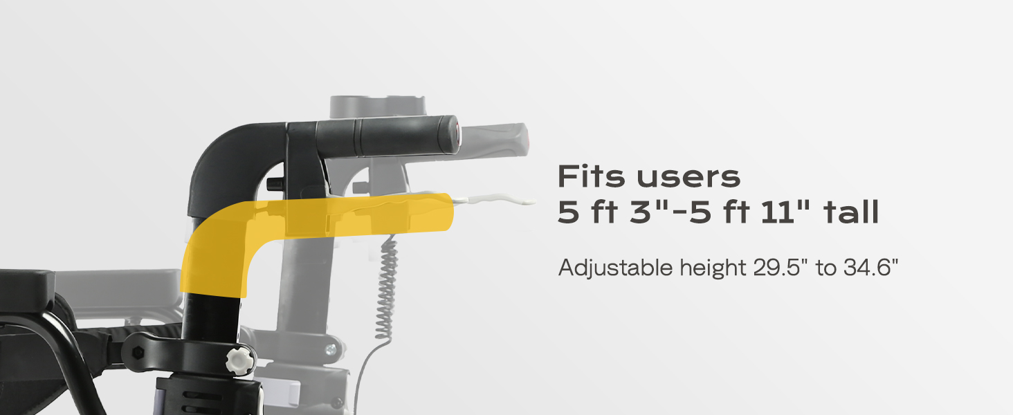 Rear Assist Handle