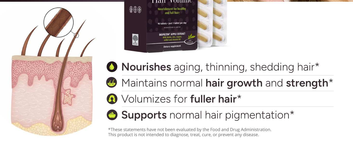 New Nordic Hair Volume