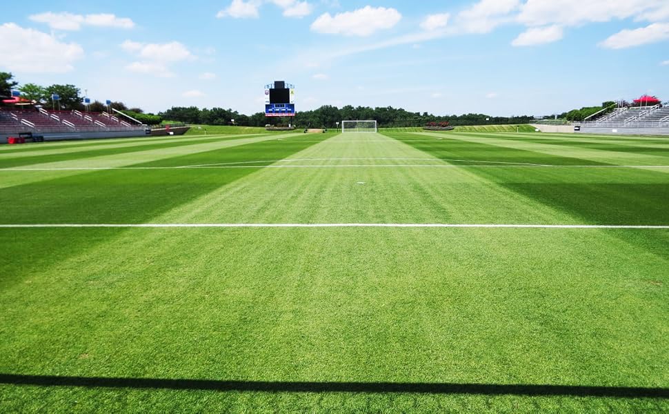 soccer, field hockey, athletic, football, baseball, landscape, ground, bushes, trim, cutter, dark