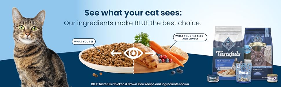 BLUE, Blue Buffalo, Blue Buffalo Cat Food, Dry Cat Food, Cat Food that Tastes Good, High Protein Cat