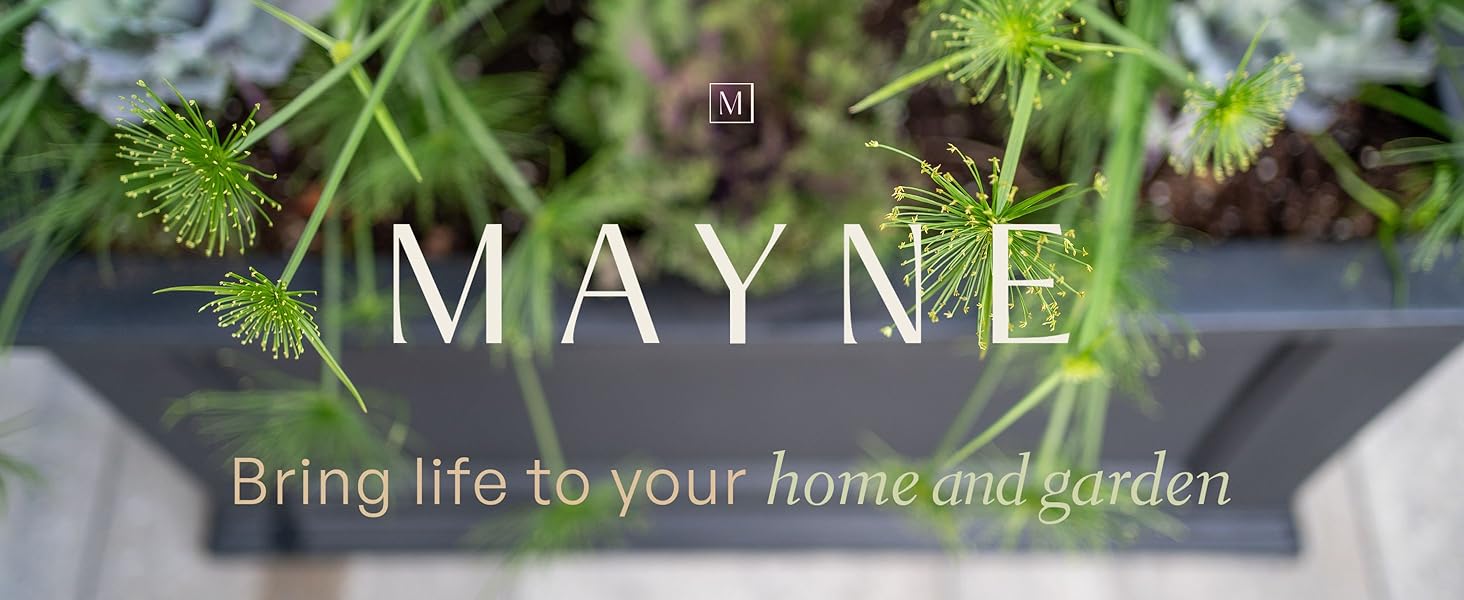 Mayne Inc. Banner