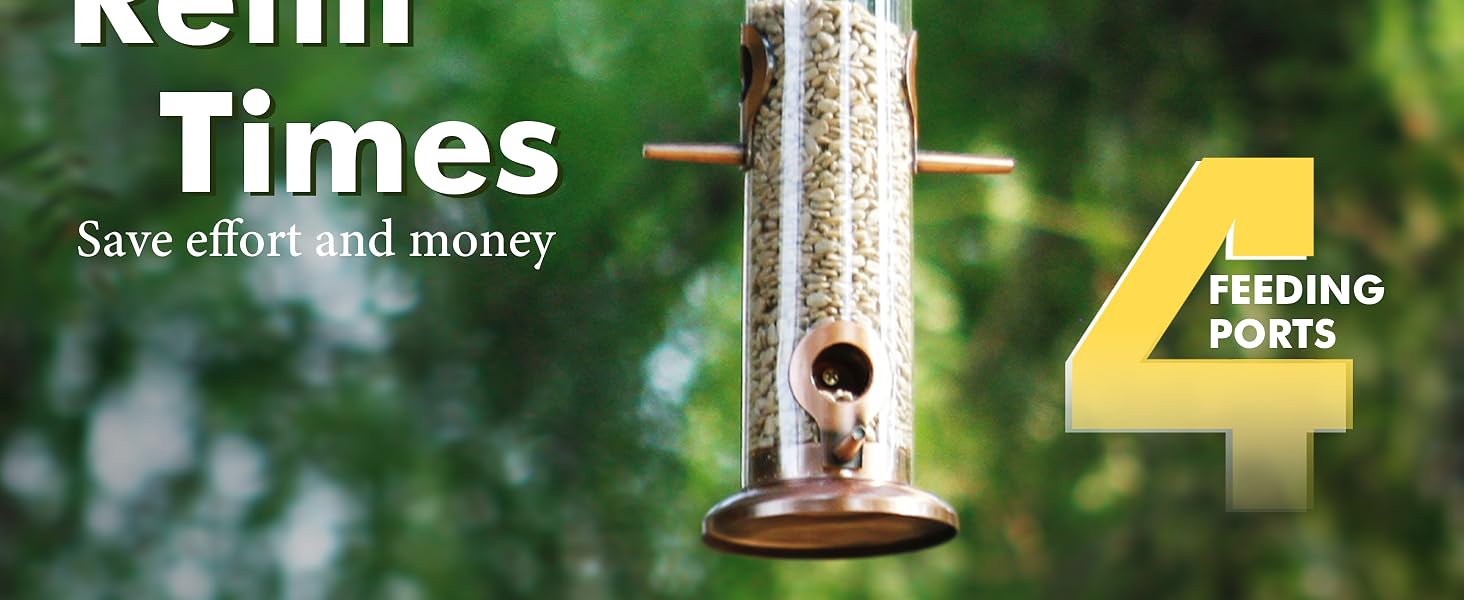 bird feeder