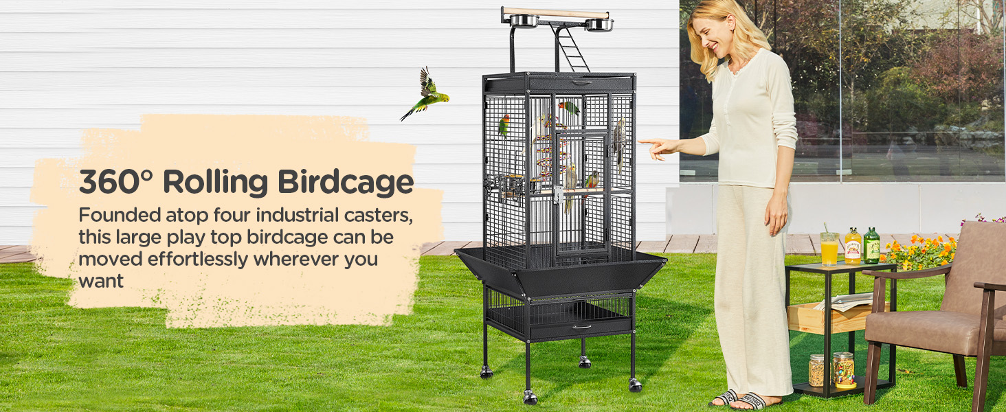 bird cage