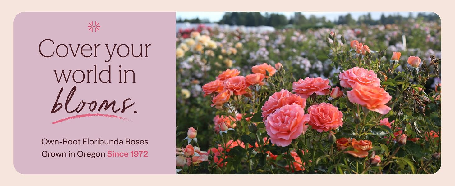 Cover your world in blooms.