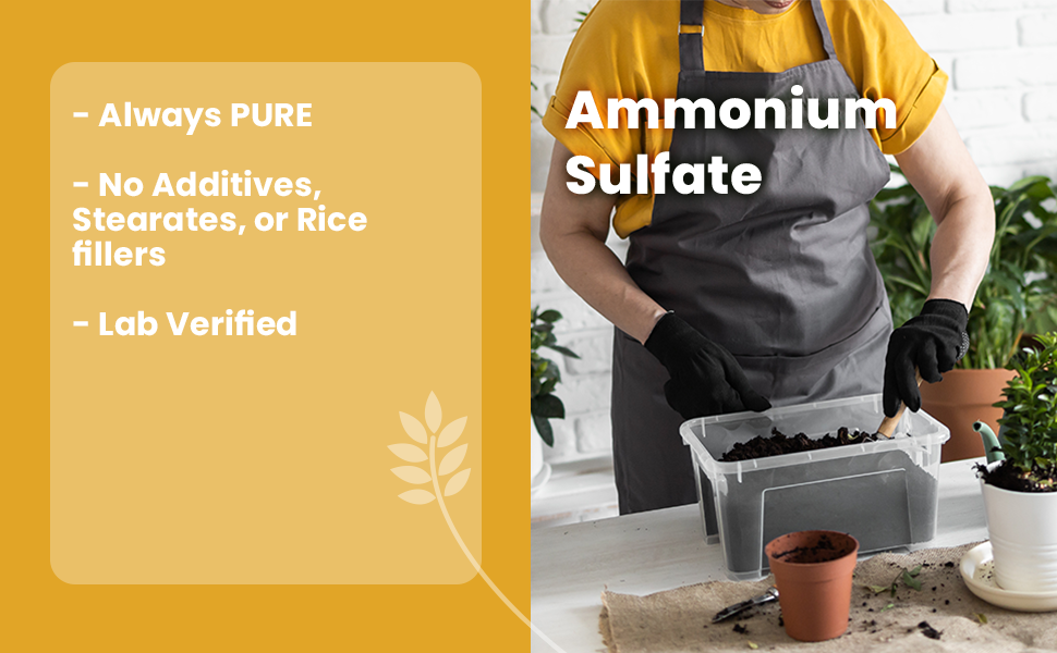 ammonium sulfate pure powder