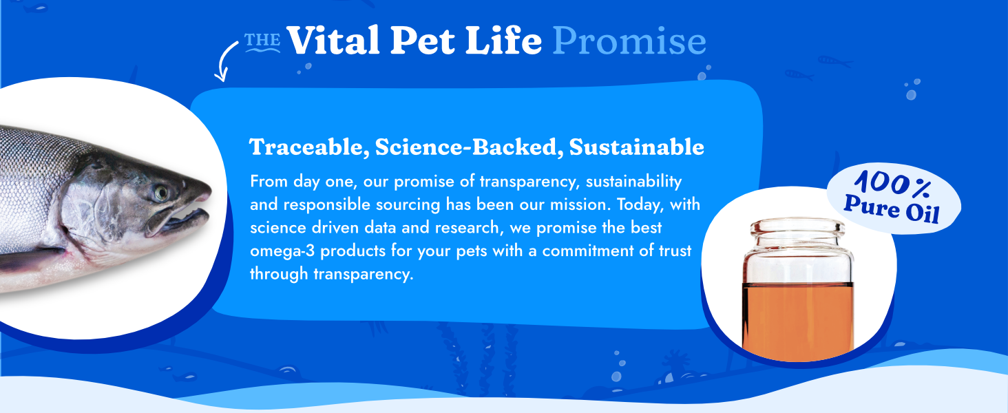 traceable sustainable omega salmon fish oil supplement dog cat