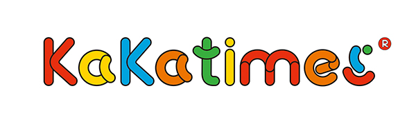 STEM Building Blocks Toy