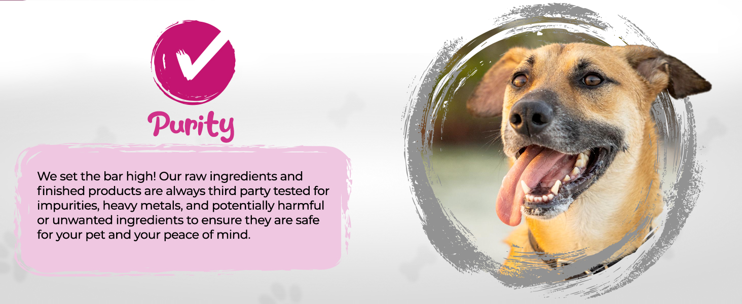 enzymes probiotics prebiotics fiber pumpkin fennel pancreatin digestion pancreas veterinarian