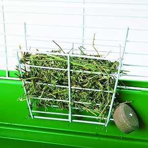 Small animal Feeder