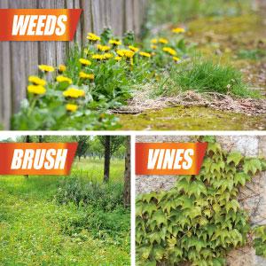 Effectively kills weeds, brush and vine
