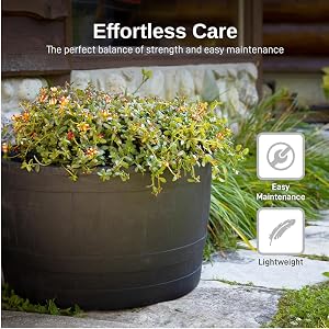 black whiskey barrel planter