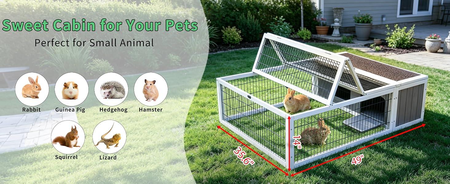 guinea pig cages