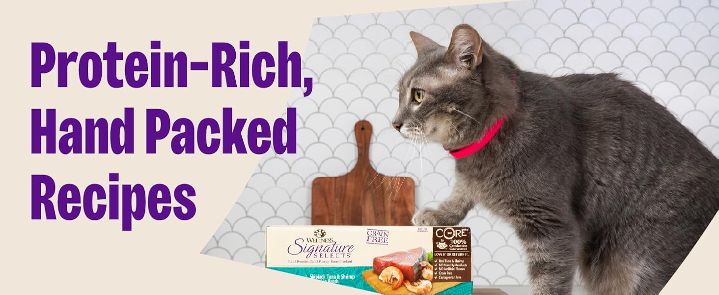 Protein Rich Nutrition Cats Crave