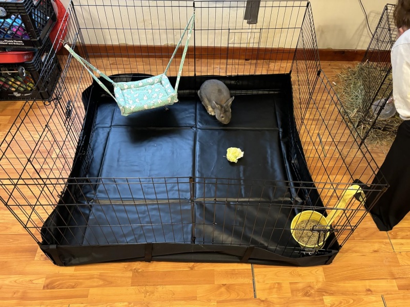 Indoor Small Animal Playpen