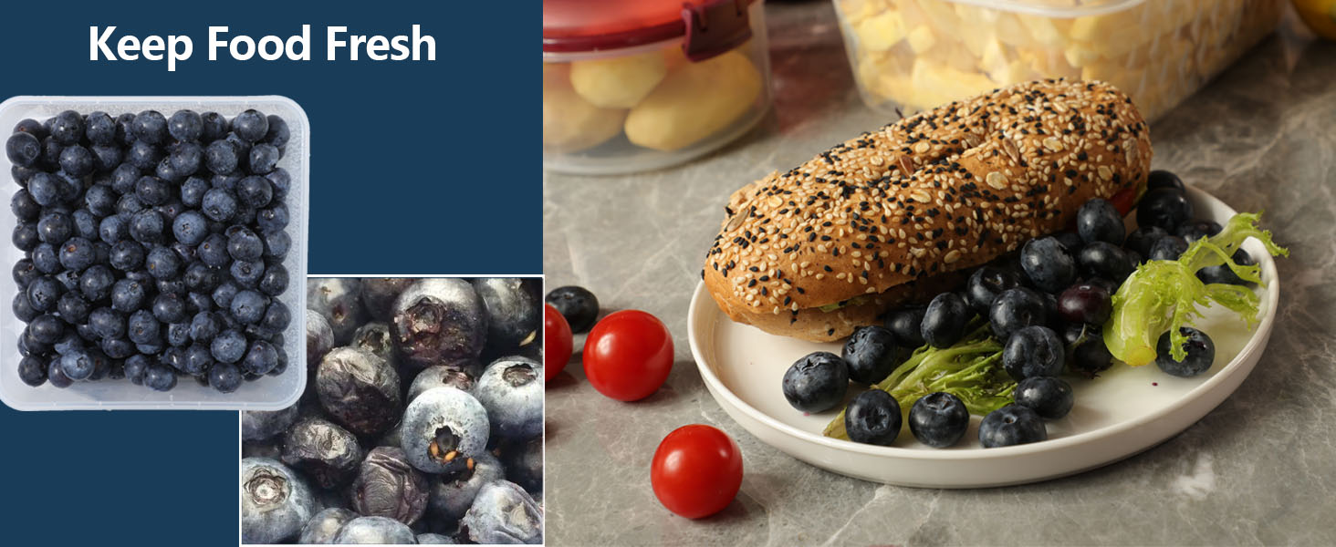 large food storage containers