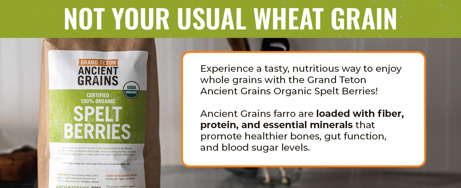 farro red einkorn espelta quinoa berry brown mill rye cereal seeds white milling