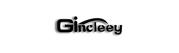 Gincleey bike seat