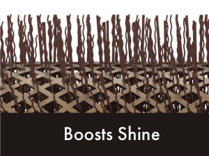 Image of close up of brush follicles with text reading boosts shine.