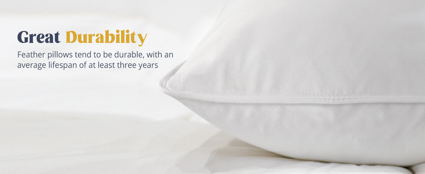 pillows standard set of 2