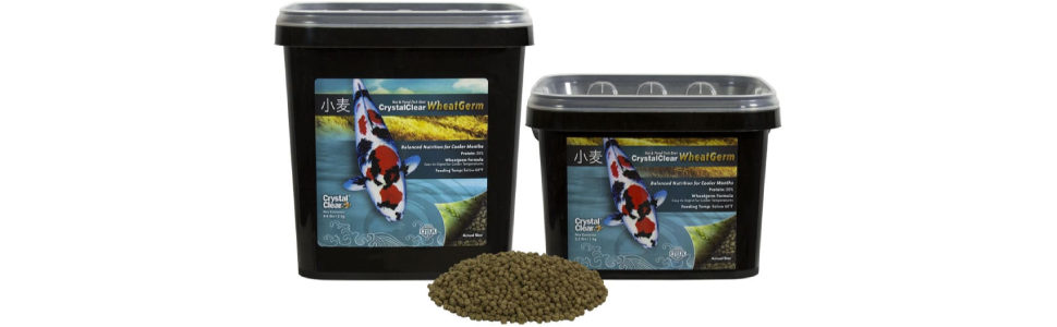 Wheatgerm koi food