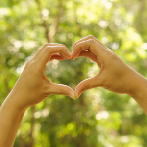 health, heart