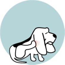supplies shed control hair paws cat doggie spa rinse exfoliating soothing puppies coat suministros