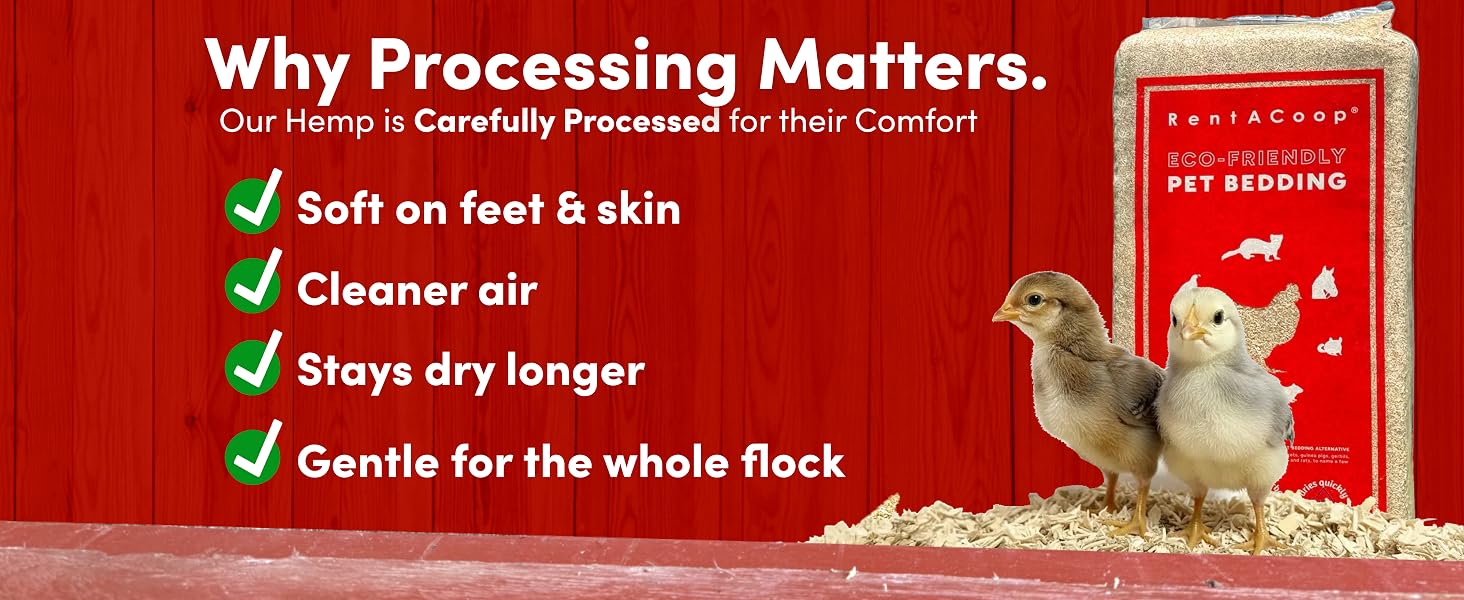 Why Processing Matters