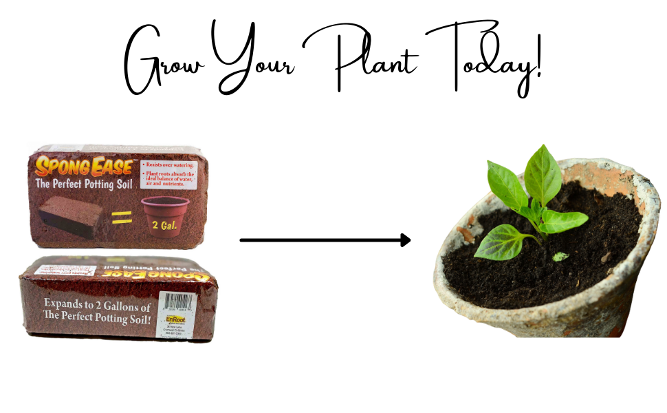 coco coir bricks