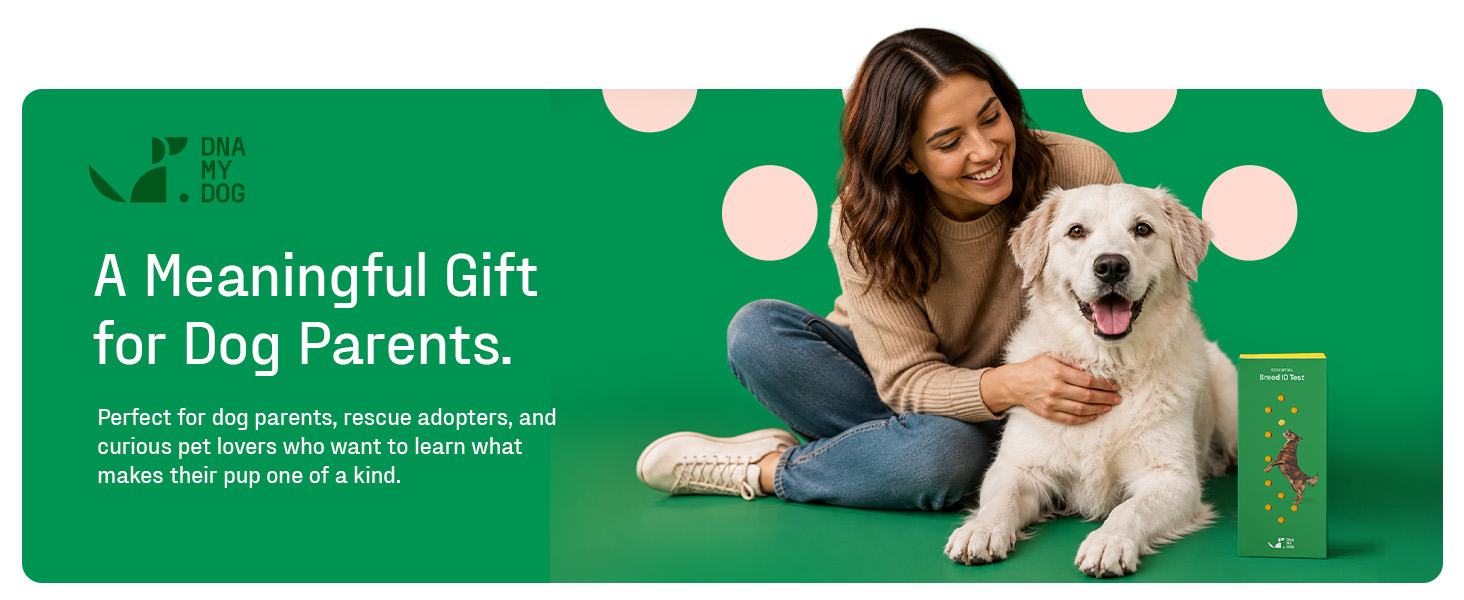 DNA My Dog test kit box beside a smiling woman petting a golden retriever