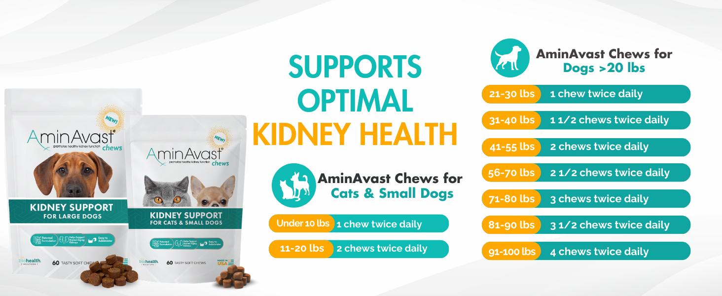 aminavast for cats, aminavast for dogs, cat kidney support, kidney support for cats