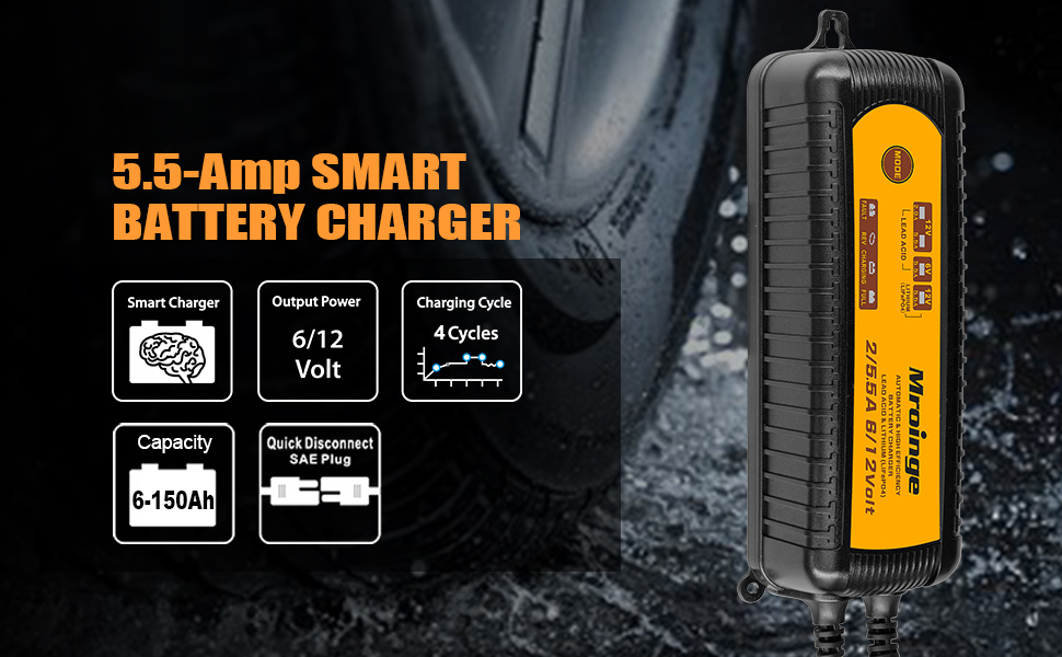 battery charger 12V