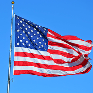 PRODUCED IN THE UNITED STATES