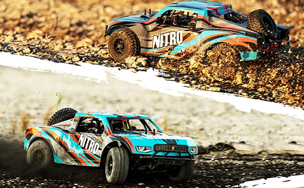 RC Cars for Adults