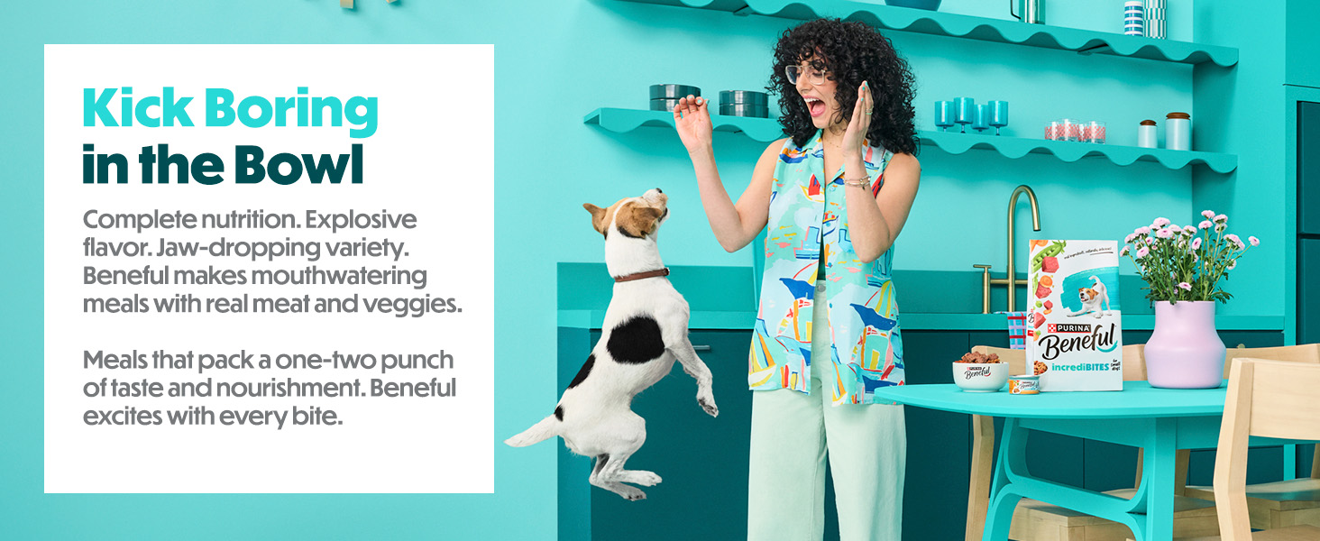 Kick Boring in the Bowl: Woman plays with leaping dog in kitchen during meal time.