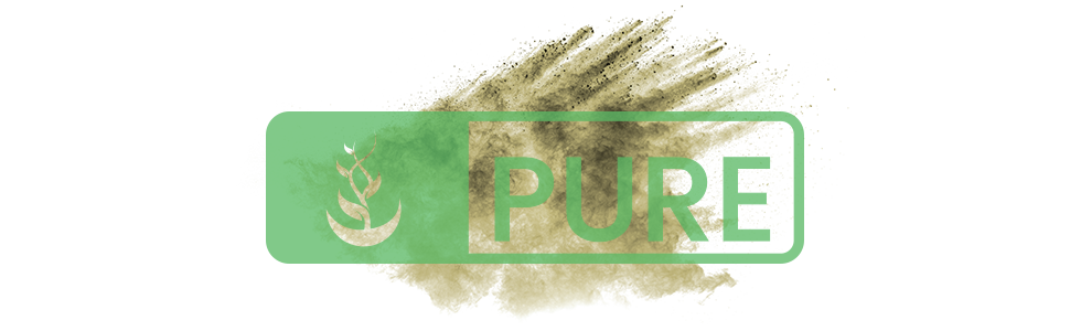 pure logo