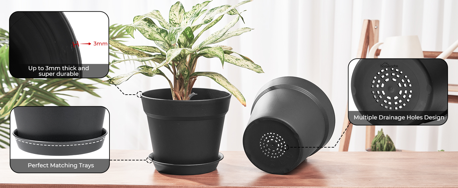 Pots for Plants