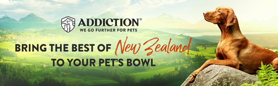 addiction raw alternative dog food