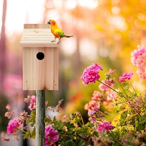 bird house for garden