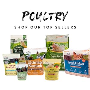 manna pro poultry