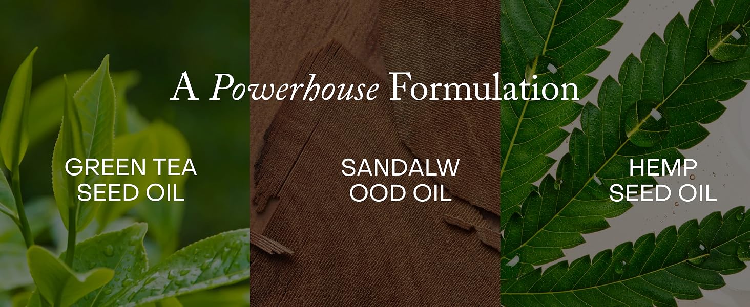 True Botanicals Pure Radiance Body Oil 4