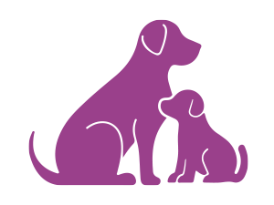 dog ear cleaner, dog ear drops, dog ear infection cleaner, ear cleaner for dogs