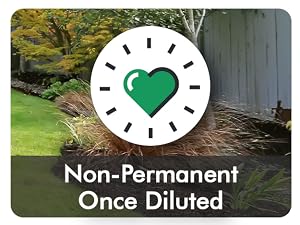 Non-Permanent Once Diluted
