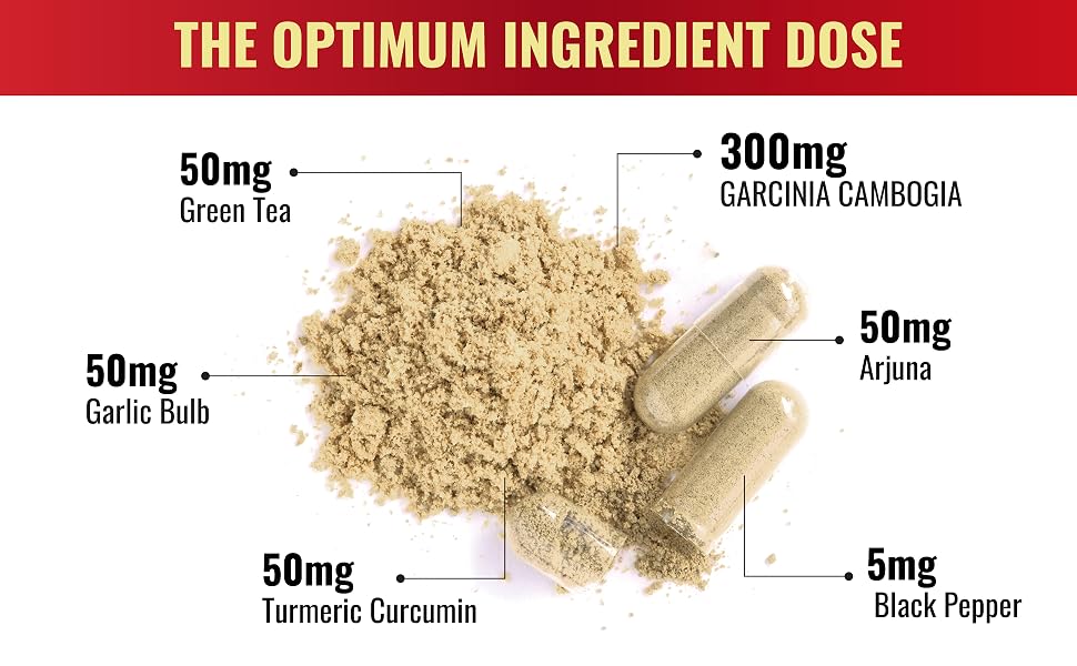 A10. Garcinia Cambogia_90Caps